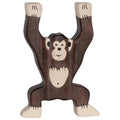 Chimpanzee
