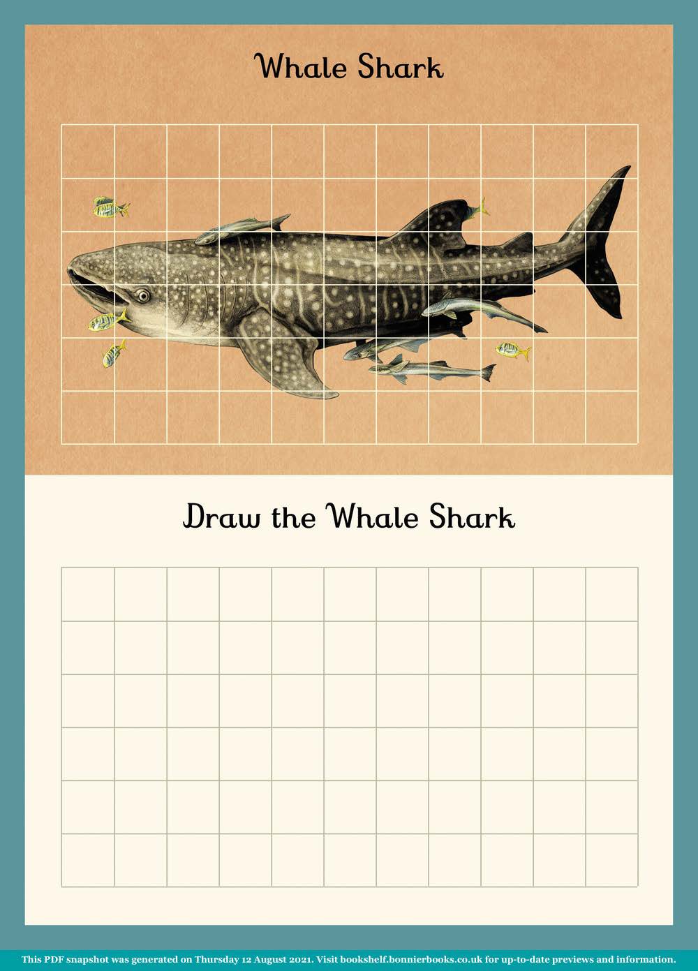 Oceanarium Activity Book